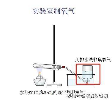 高中知识大全软件下载