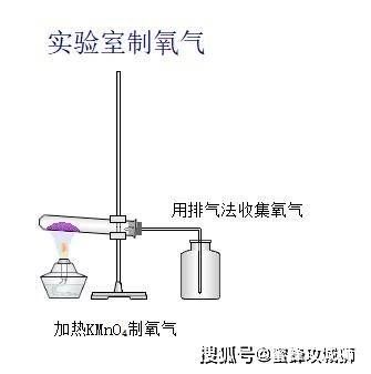 高中知识大全软件下载