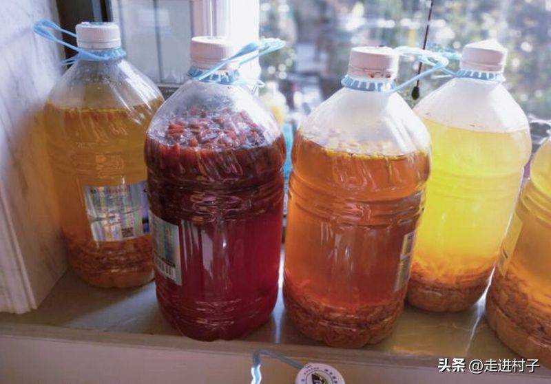 小青菜种植技术