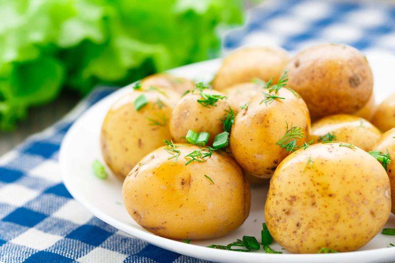 Method of cultivation of potatoes