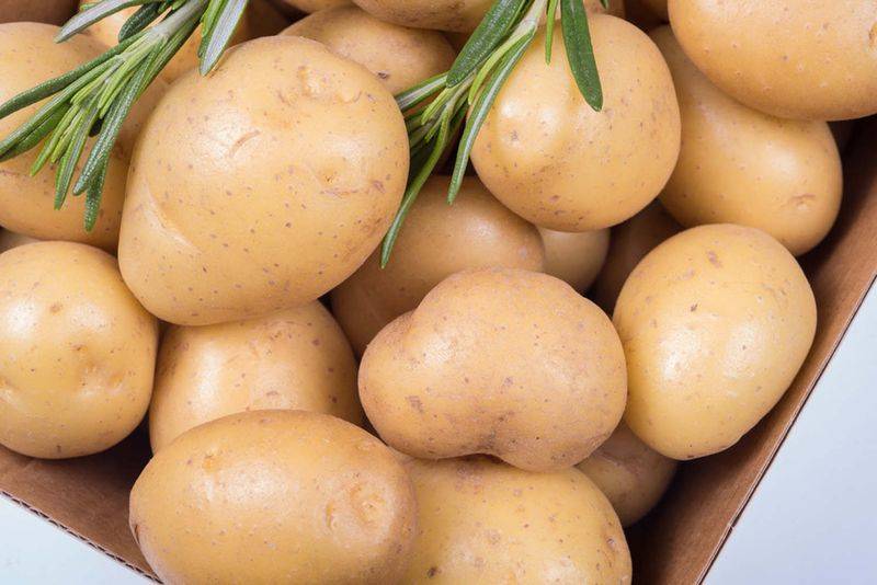 Method of cultivation of potatoes
