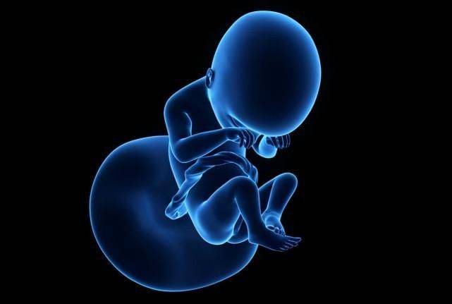 How much for the h. H. I. D. Baby