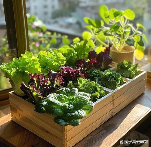 Small green gardening techniques