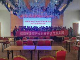 西红柿怎么种植技术