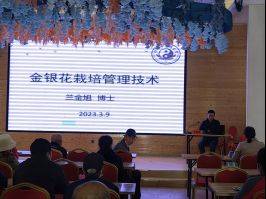 西红柿怎么种植技术