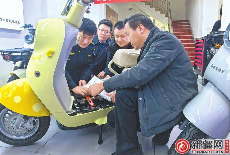 48v20ah electric charger