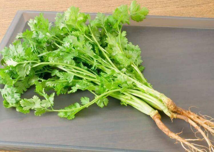 Small green gardening techniques
