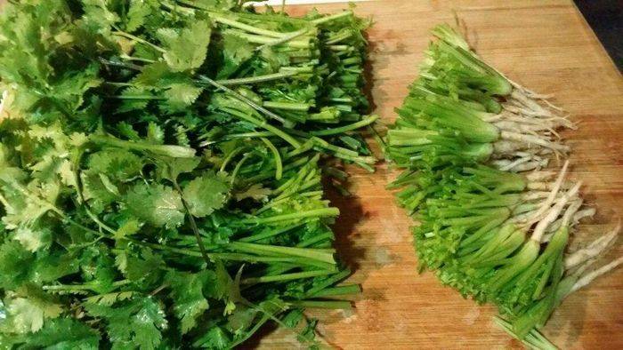 Small green gardening techniques