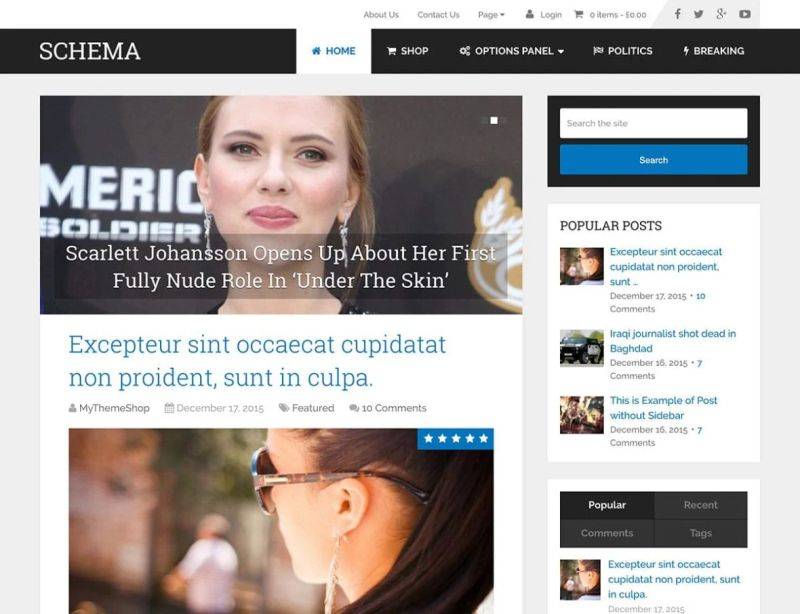Wordpress themeseo template