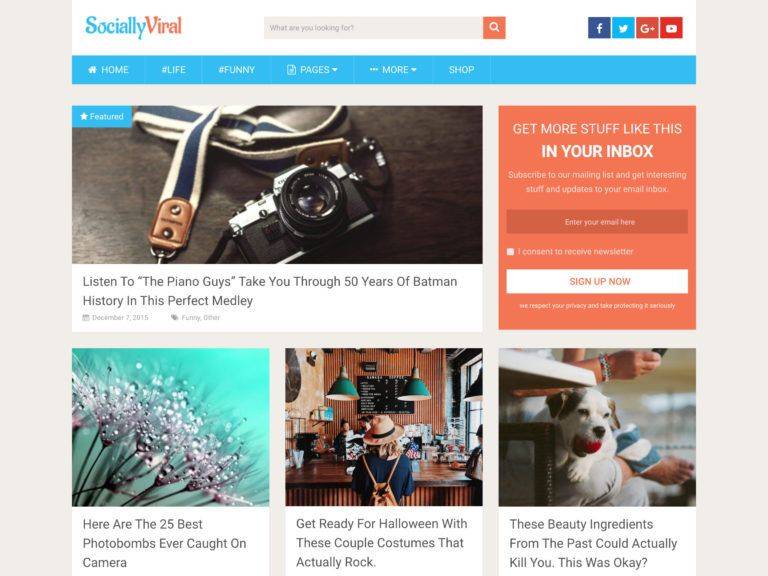 Wordpress themeseo template