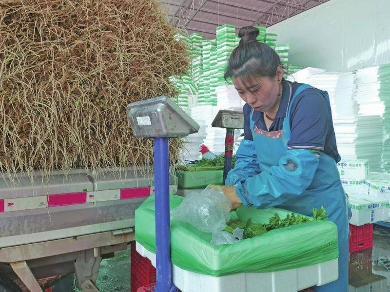Cream cultivation techniques