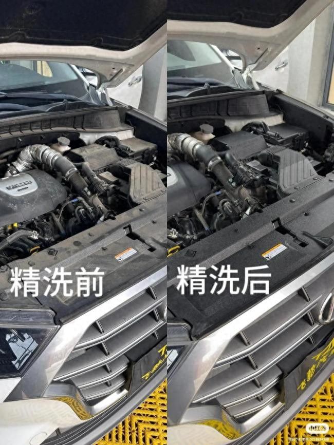 2026洗车成本与利润