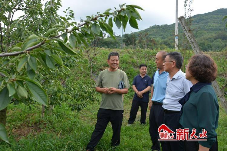国家马铃薯产业技术体系首席科学家来天水市调研指导