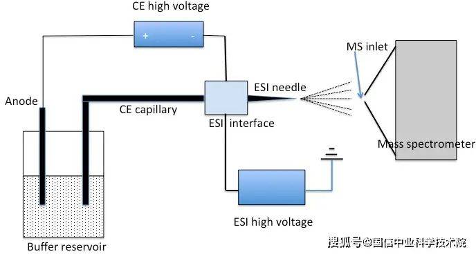 Mass spectrobration patterns
