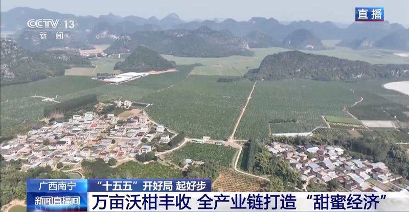 A video of guangxiwo grove