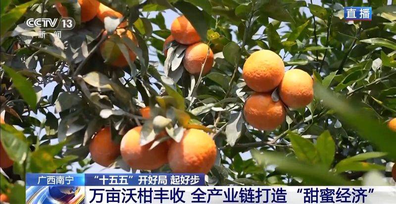 A video of guangxiwo grove