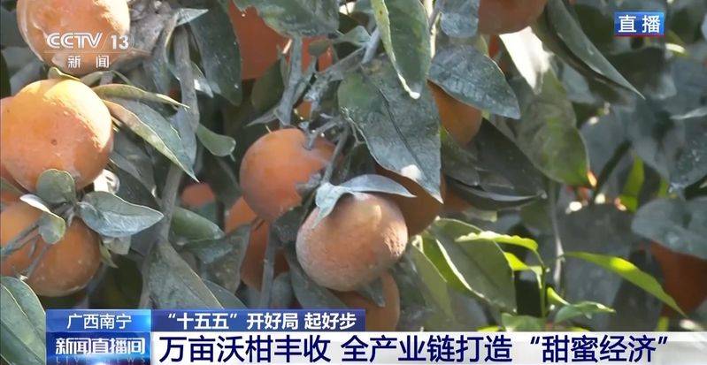 A video of guangxiwo grove