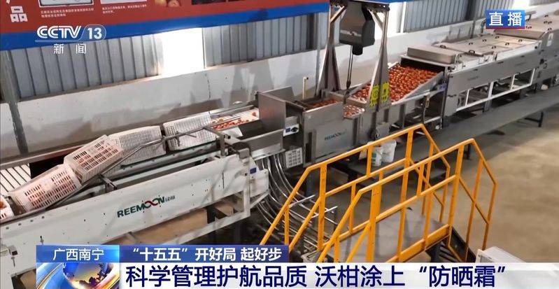 A video of guangxiwo grove