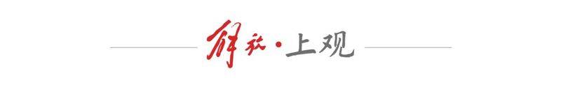 厂家槐米树种植方法