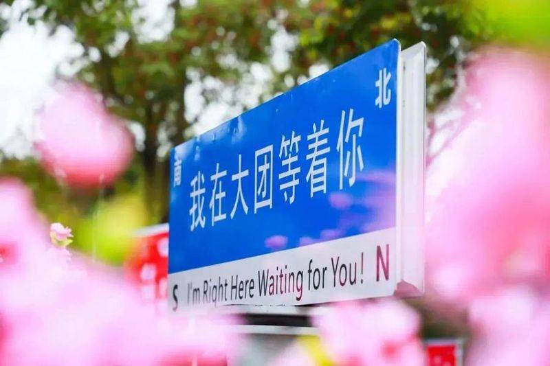 水蜜桃种植技术