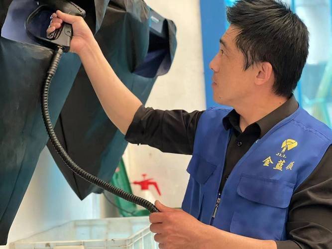 Prospects for the domestic maintenance service sector
