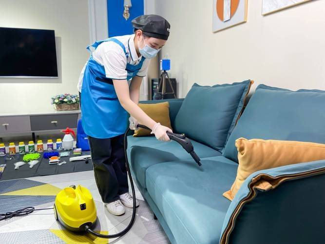 Prospects for the domestic maintenance service sector