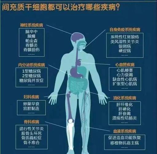 诱导多能干细胞机理