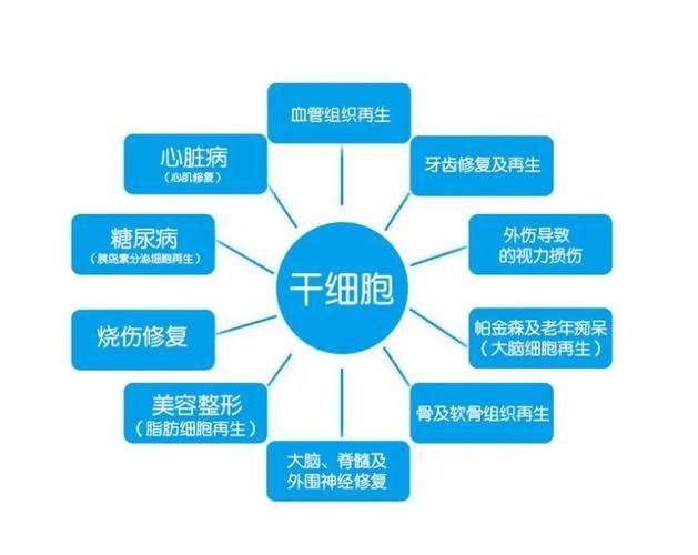 诱导多能干细胞机理