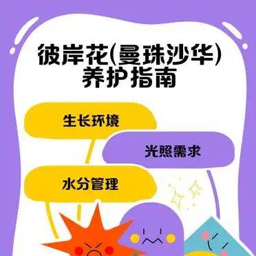 曼莎珠华种植方法