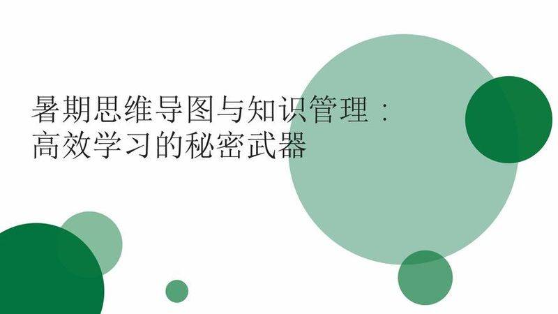 知识管理 总监