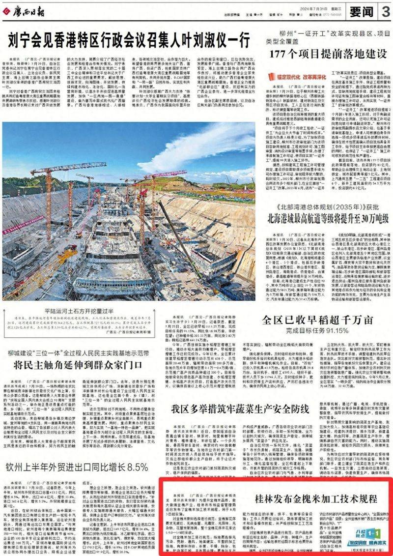 厂家槐米树种植方法