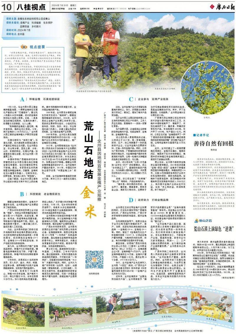 厂家槐米树种植方法