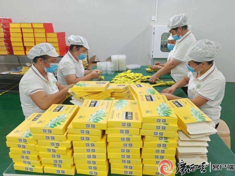 厂家槐米树种植方法