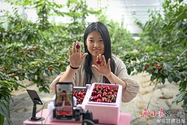 Cherry tree planting techniques