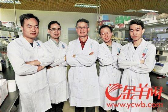 诱导多能干细胞机理