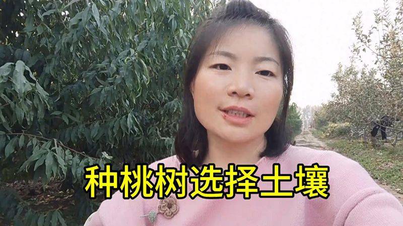 水蜜桃种植技术