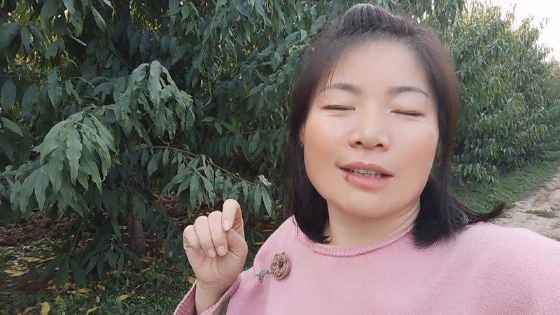 水蜜桃种植技术