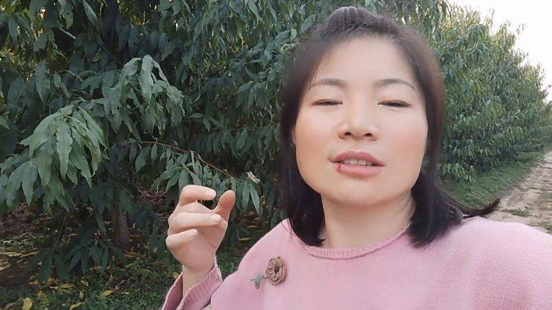 水蜜桃种植技术