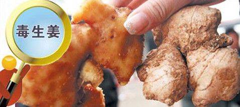 North ginger plantation technology