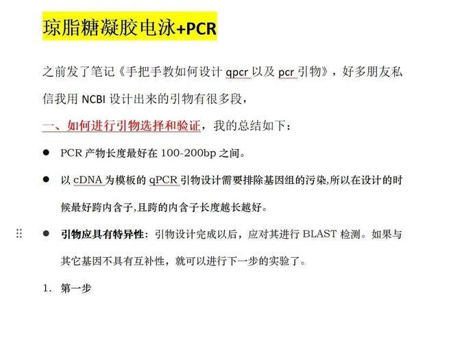 chip-pcr实验步骤