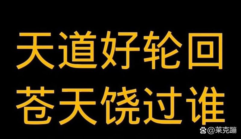 嵌入理论 社会网络