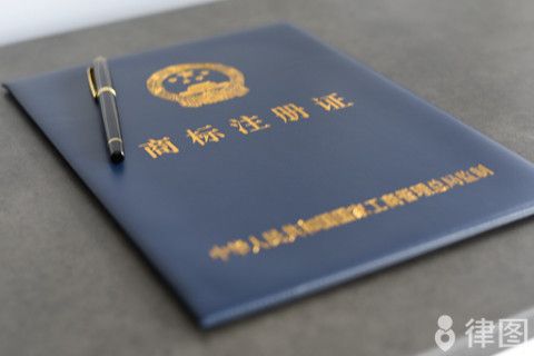 网络知识产权的侵犯