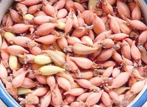 Technological aspects of milling