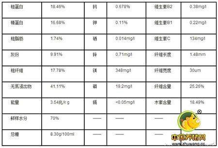 皇竹草种植技术