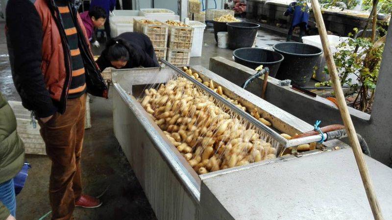Technological aspects of milling