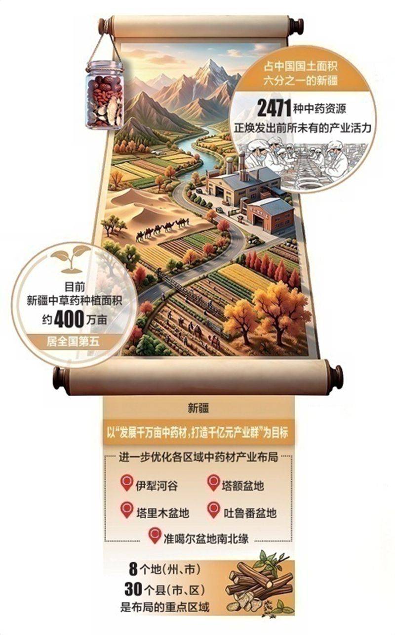 中药材柴胡种植技术