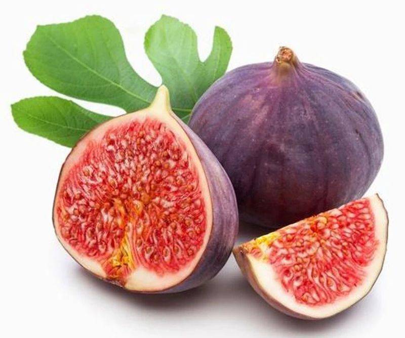 Plantation techniques for fruitless trees
