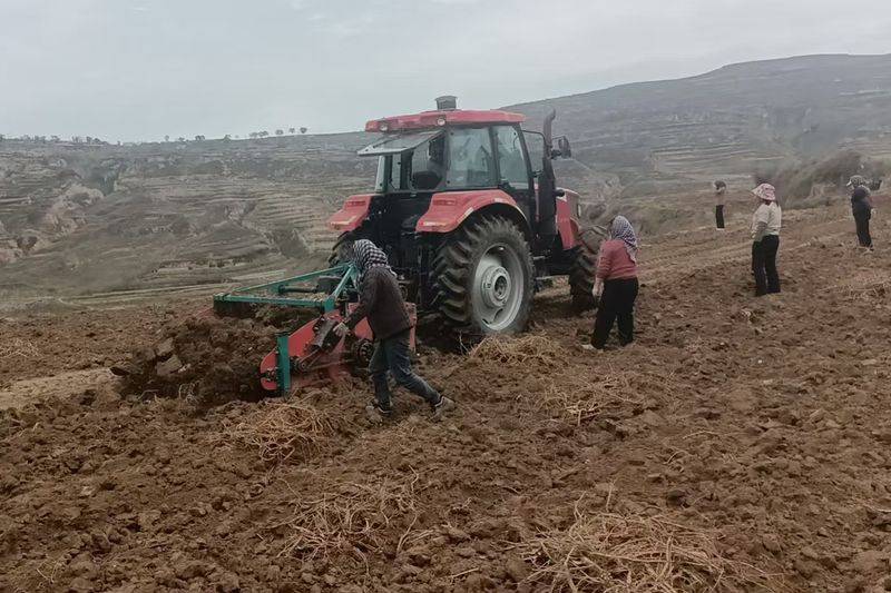 Technology for chinese medicine wood-wood cultivation