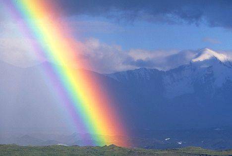 Rainbow sugar experiment step