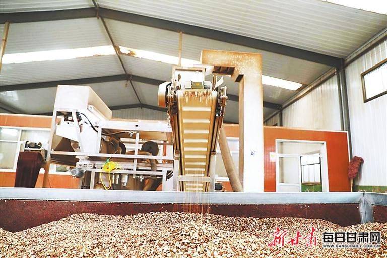 Technology for chinese medicine wood-wood cultivation
